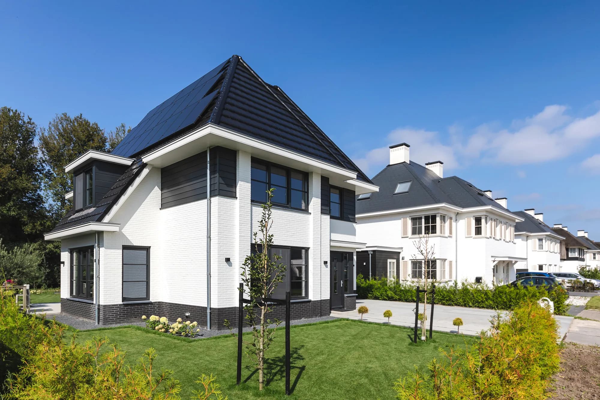 Buitenhof — beeld