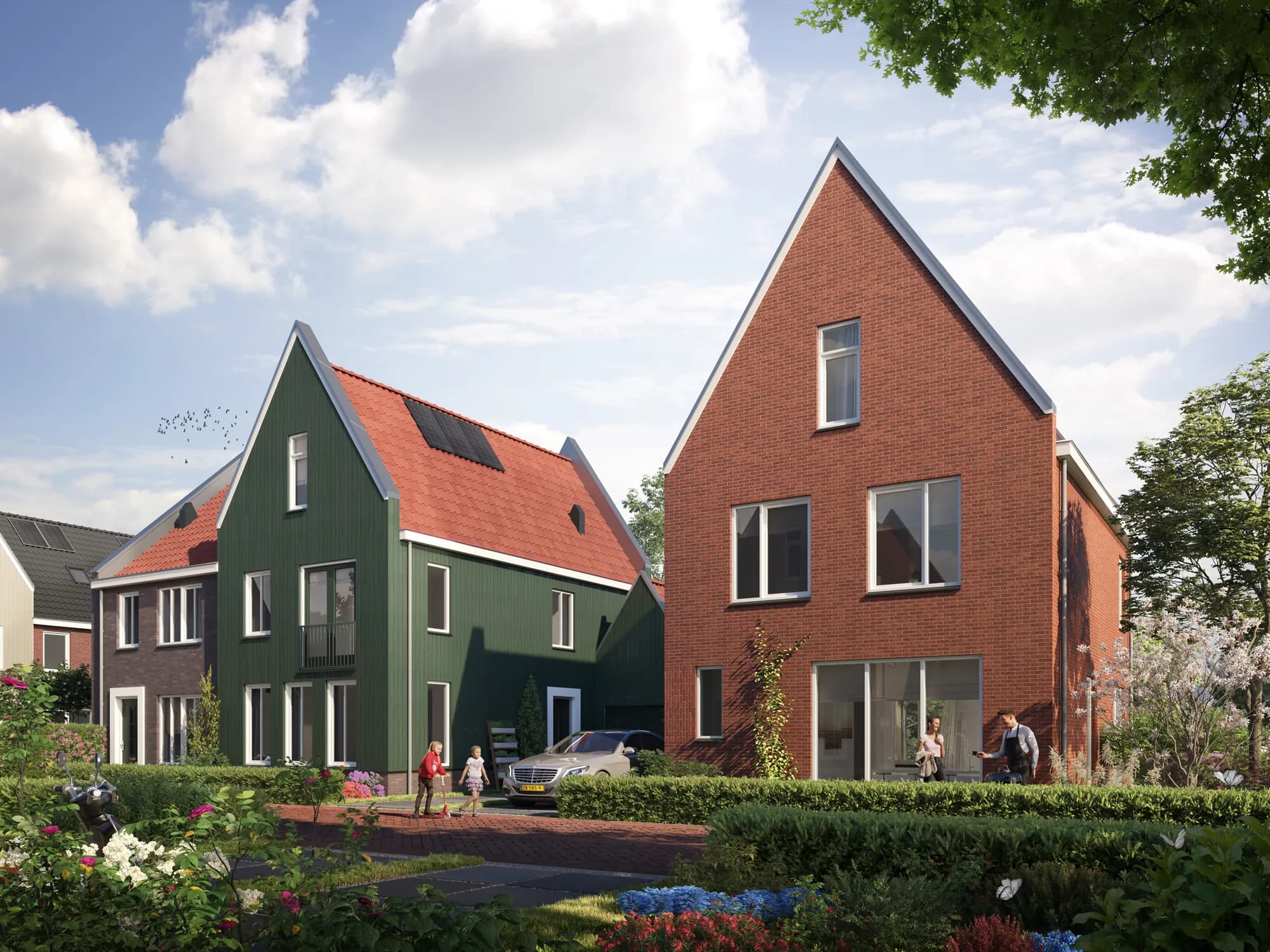 De Molenaer — beeld