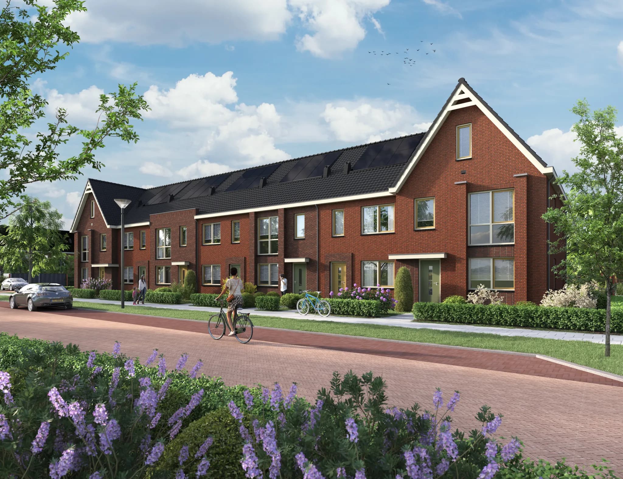 Bangert en Oosterpolder — beeld
