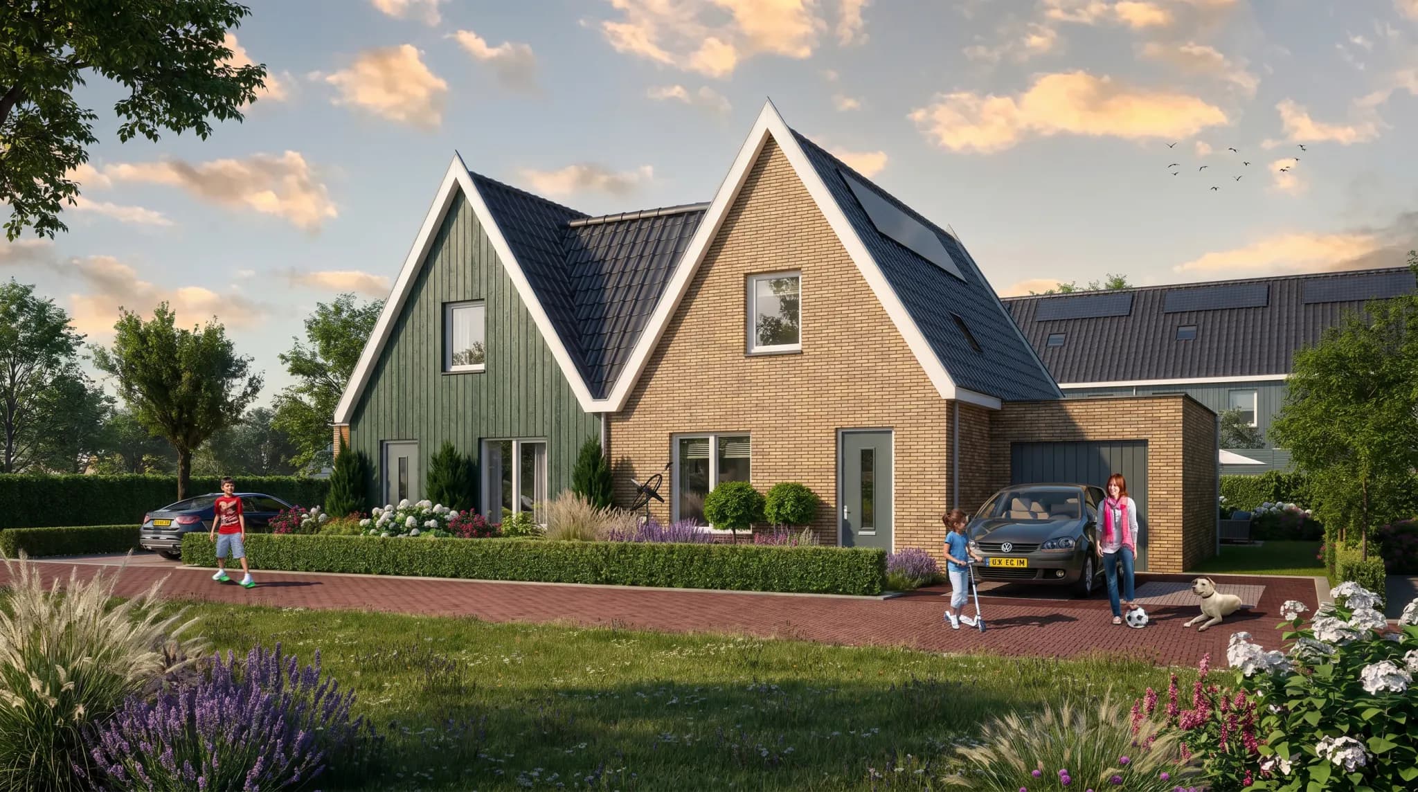 Waterrijk — beeld