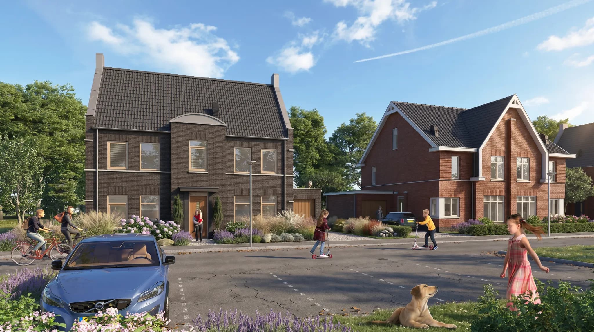 De Nieuwe Tuinderij — beeld