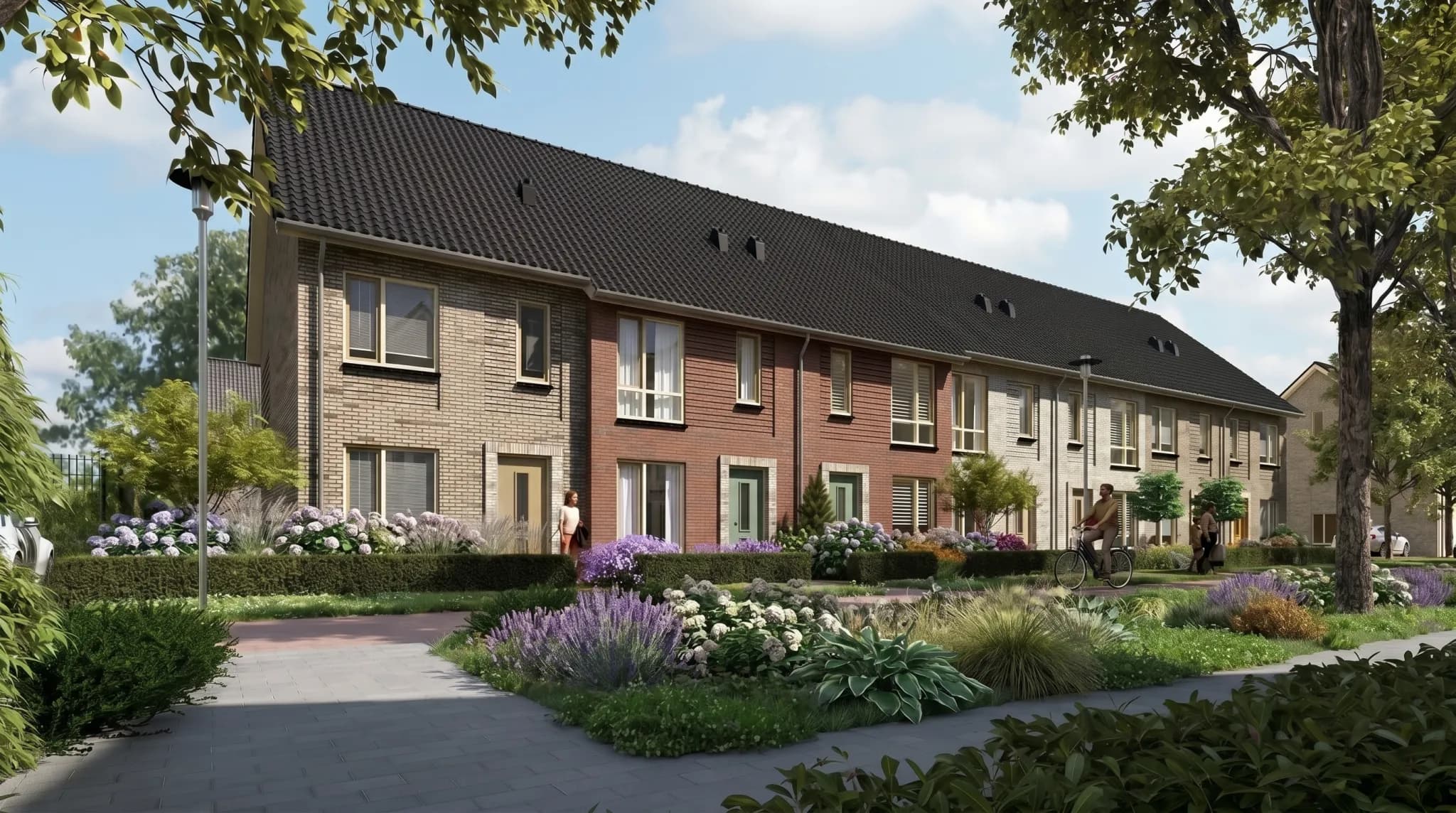 Rozenbuurt — beeld 3